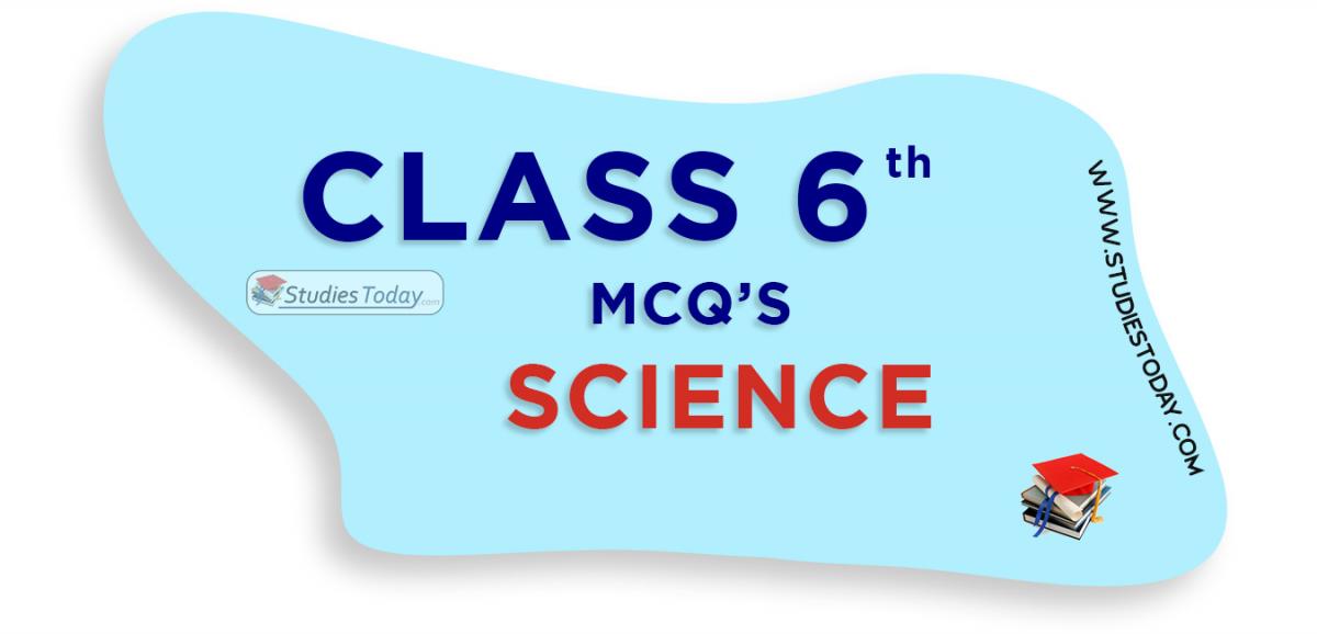 CBSE Class 6 Science MCQs