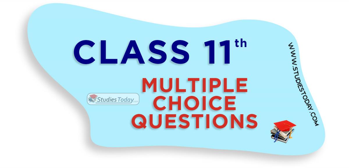 Class 11 Multiple Choice Questions (MCQs)