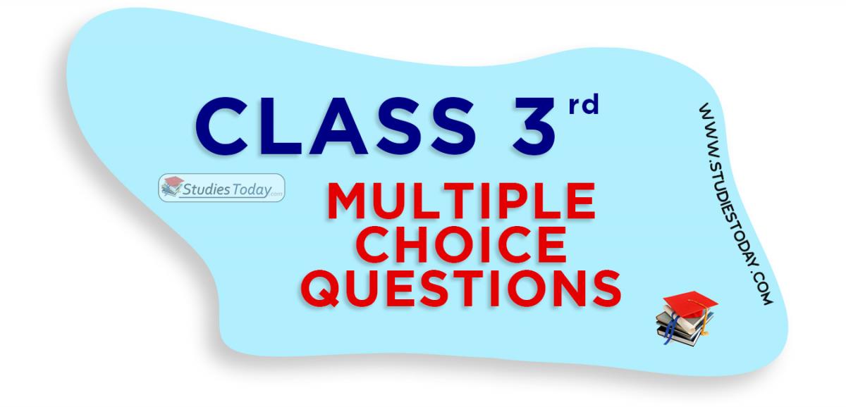 Class 3 Multiple Choice Questions (MCQs)