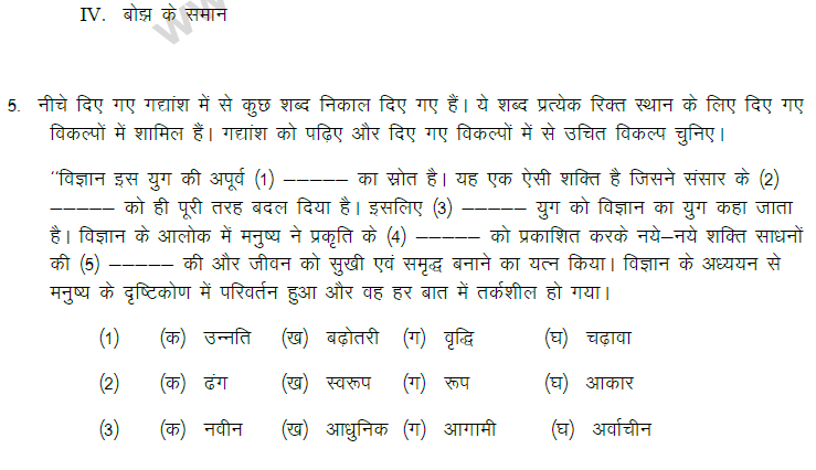 CBSE Class 9 Hindi Passage Based MCQ (1)-2
