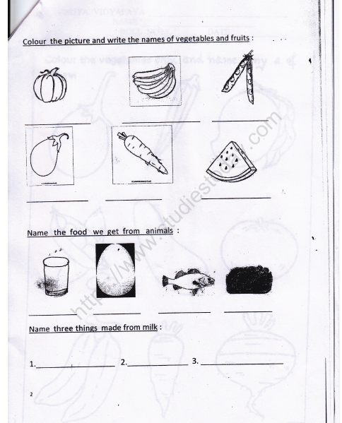 CBSE Class 1 EVS Worksheet - Our Food (2) 2