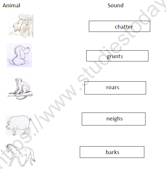 CBSE Class 2 English Funny Bunny Worksheet