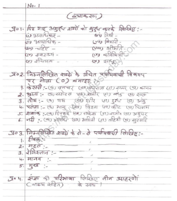 CBSE Class 6 Hindi Sample Paper Set Y