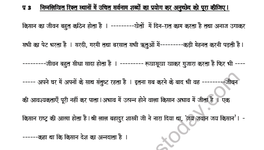 CBSE Class 7 Hindi Pronoun Worksheet 3