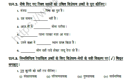 CBSE Class 8 Hindi Adjective Worksheet Set A 2