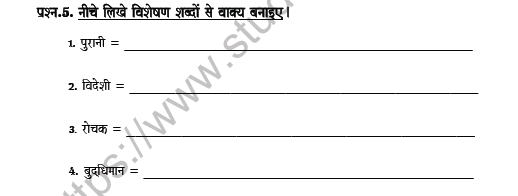 CBSE Class 8 Hindi Adjective Worksheet Set A 4