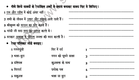 CBSE Class 8 Hindi Compound Worksheet Set B 4