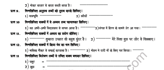 CBSE Class 8 Hindi Revision Worksheet Set J 3