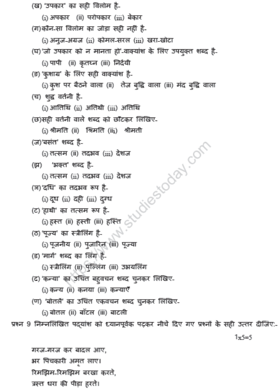 CBSE Class 7 Hindi Sample Paper Set W