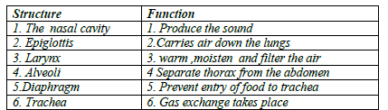 CBSE Class 10 Biology Life Processes Respiration Worksheet Set C 1