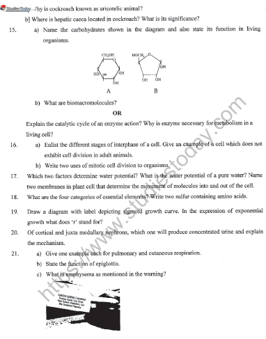 CBSE Class 11 Biology Sample Paper Set J Solved 3