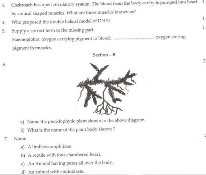 CBSE Class 11 Biology Sample Paper Set L