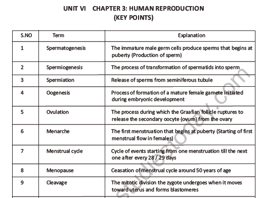 CBSE Class 12 Biology Human Reproduction Question Bank 1