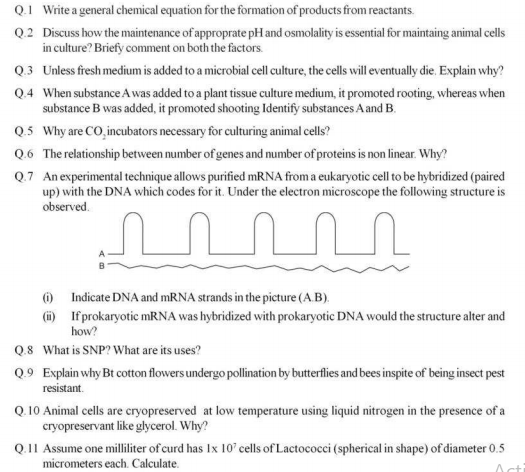 CBSE Class 12 Biotechnology Sample Paper Set B with Answers