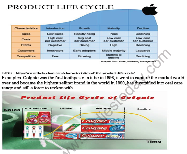 CBSE Class 12 Marketing Managing Product Life Cycle Notes 2