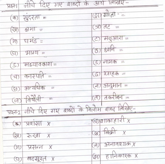 CBSE_Class_4_Hindi_Sample_Paper_03