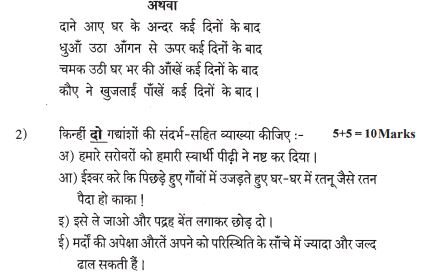 Class_11_Hindi_Sample_Papers_10