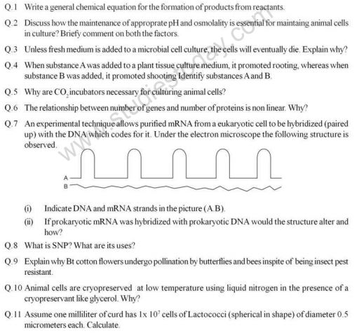 Class_12_Bio technolog_Sample_Papers_10