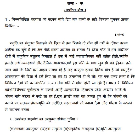 Class_8_Hindi_Sample_Paper_8
