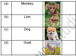 CBSE Class 1 GK Animals Worksheet Set A4
