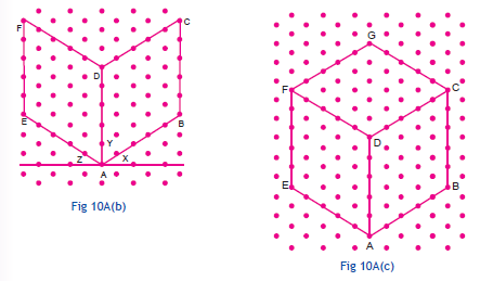 CBSE Class 7 Maths Activity 10A