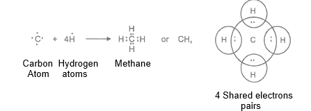class_10_science_concept_0246
