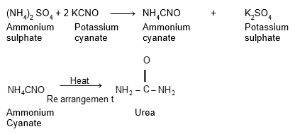 class_10_science_concept_0255