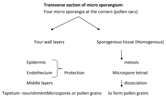 class_12-biology_concept_254