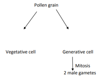 class_12-biology_concept_255