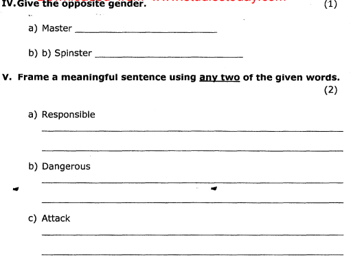 class_4_English_Question_Paper_3a