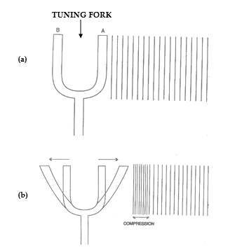 class_9_science_concept_0247