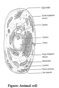 class_9_science_concept_07