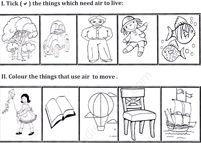 CBSE Class 1 EVS Air Assignment