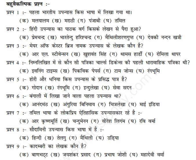 CBSE Class 10 Social Science History Novels Society Hindi Assignment