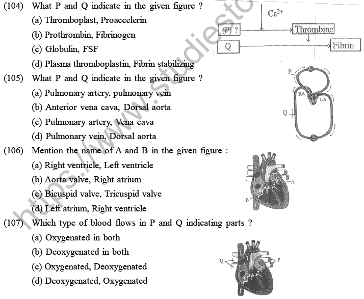 NEET Biology Body Fluids and Circulation MCQs Set A-5