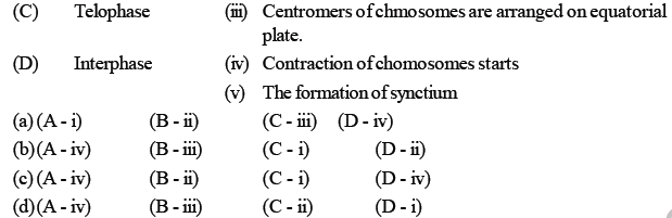 NEET Biology Cell Cycle MCQ-2
