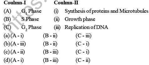 NEET Biology Cell Cycle MCQ