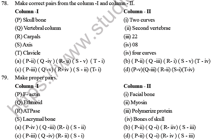 NEET Biology Locomotion and Movement MCQs Set B-