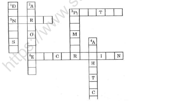 CBSE Class 3 English Little Tiger Big Tiger Worksheet