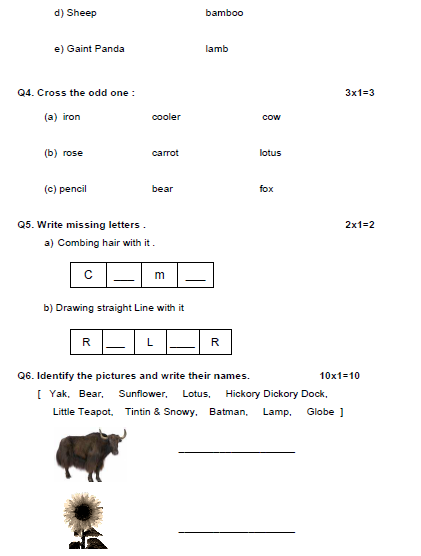CBSE_Class_1_General_Knowledge_Sample_Paper_Set_B