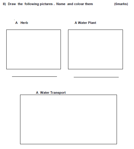 CBSE Class 2 EVS Sample Paper Set R