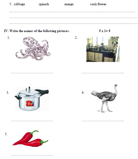 CBSE Class 3 EVS Sample Paper Set I