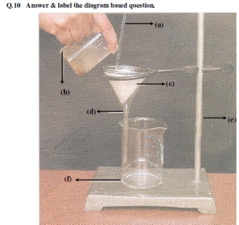 CBSE Class 6 Science Sample Paper SA1 2013