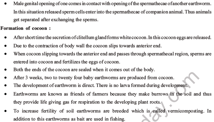 NEET Biology Animal Morphology and Anatomy MCQs Set A