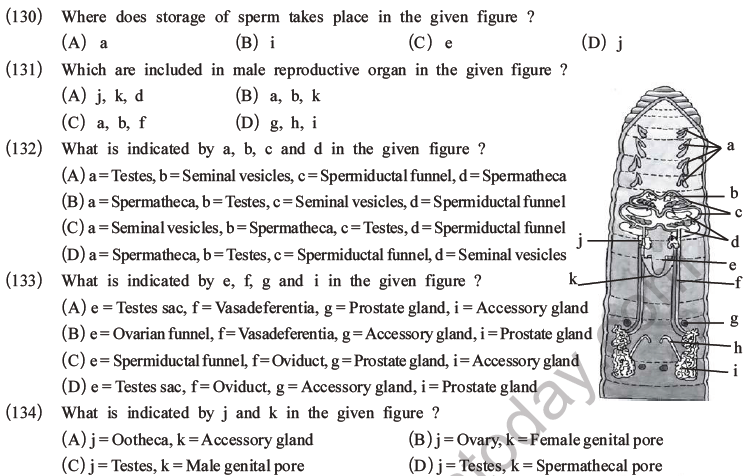 NEET Biology Animal Morphology and Anatomy MCQs Set A-45