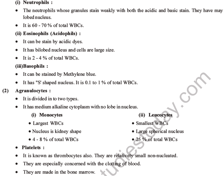 NEET Biology Animal Tissue MCQs Set A-17