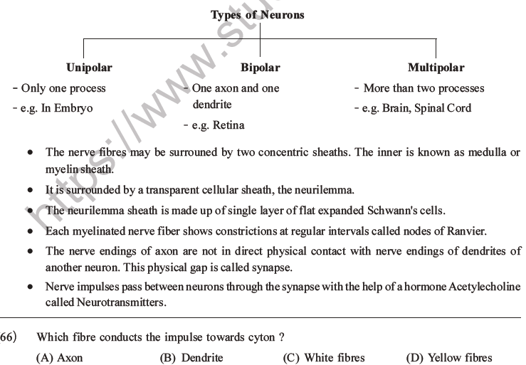 NEET Biology Animal Tissue MCQs Set A-30