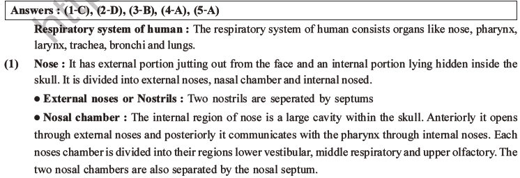 NEET Biology Breathing and Exchange of Gases MCQs Set B-
