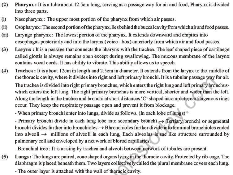 NEET Biology Breathing and Exchange of Gases MCQs Set B-1