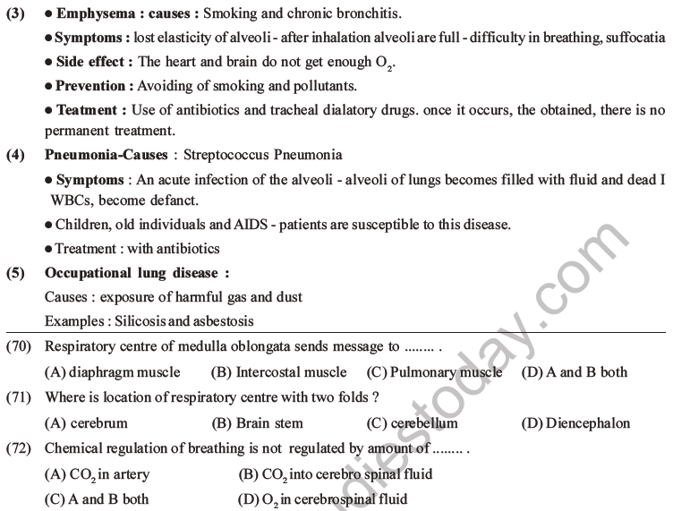NEET Biology Breathing and Exchange of Gases MCQs Set B-19